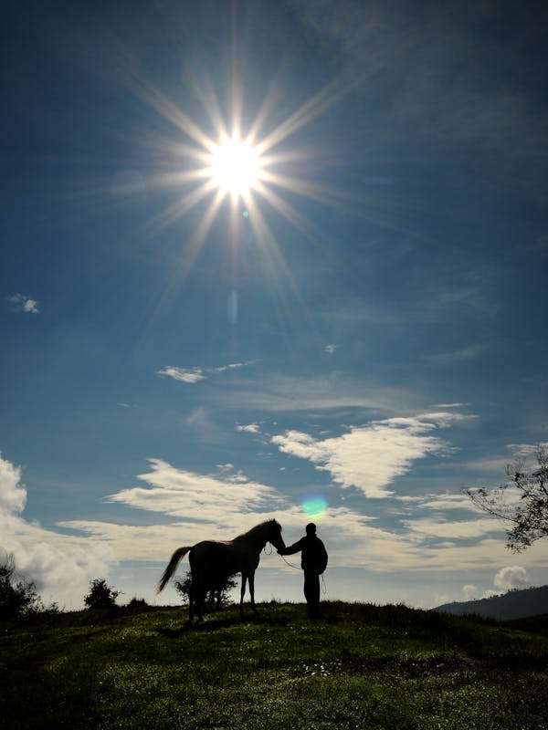 Cosmos Broderie Summer Dress